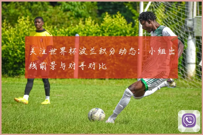 关注世界杯波兰积分动态:小组出线前景与对手对比
